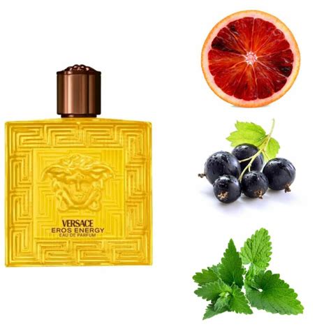 cerni versace